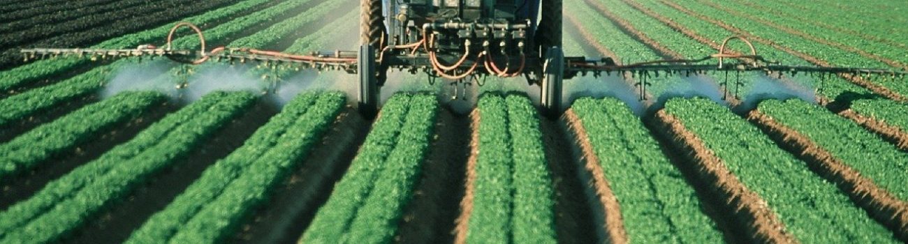 Plano-Collor-Rural Plano-Collor-Rural