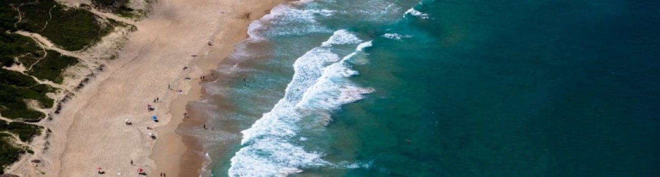 tiago-muraro-737411-unsplash-1-1024×682 tiago-muraro-737411-unsplash-1-1024x682